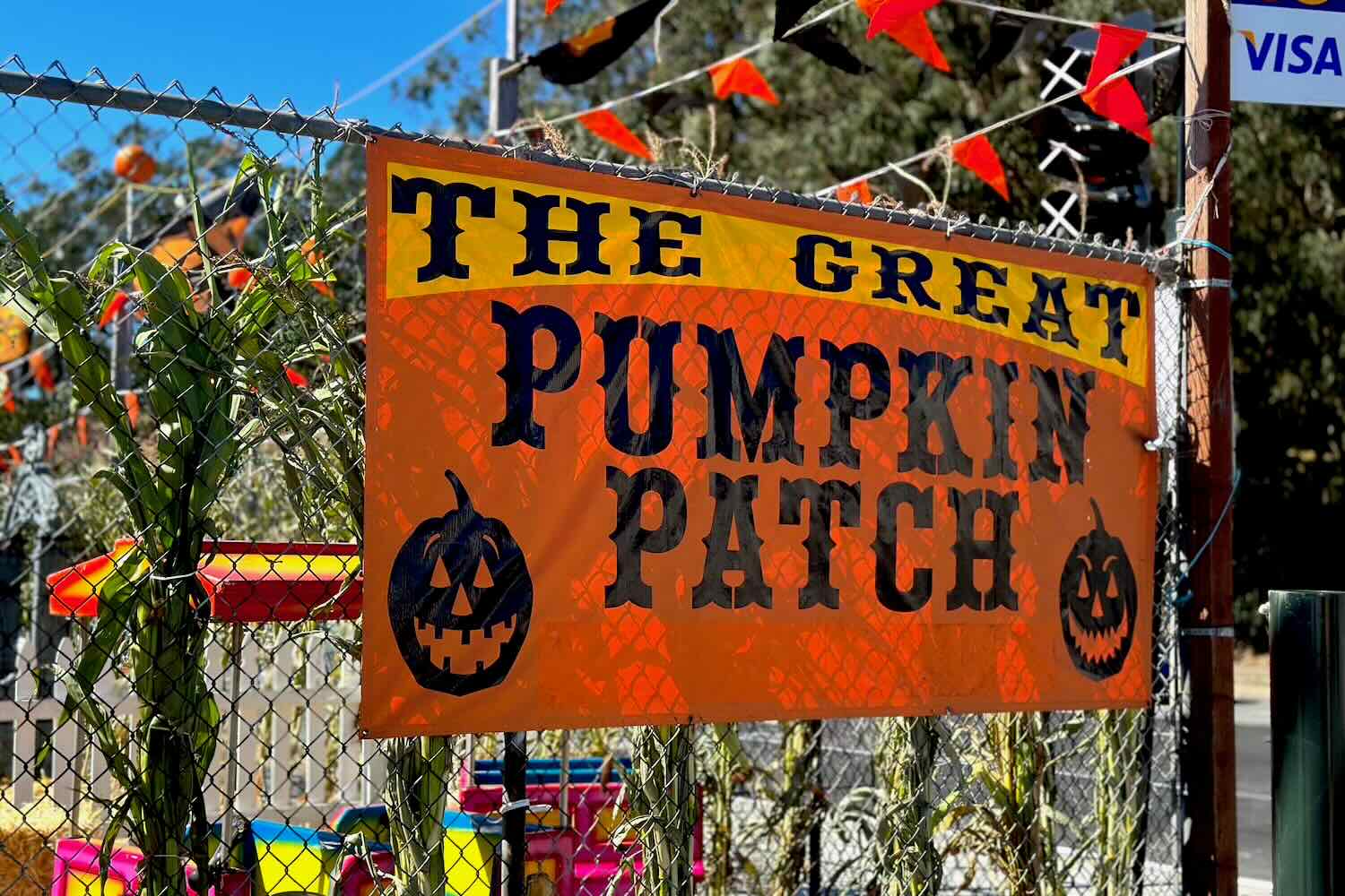 Clancy's Pumpkin Patch in San Francisco