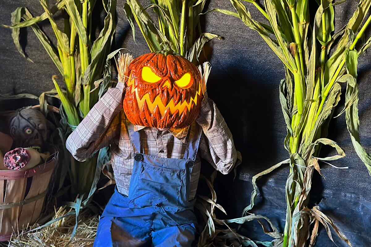 Halloween Decorations