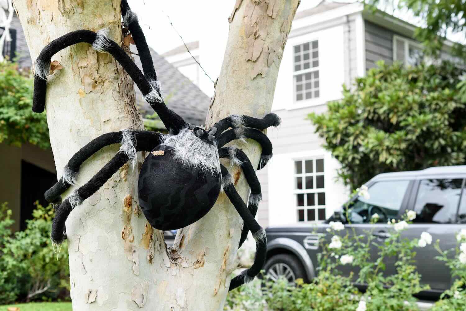 Halloween Decorations