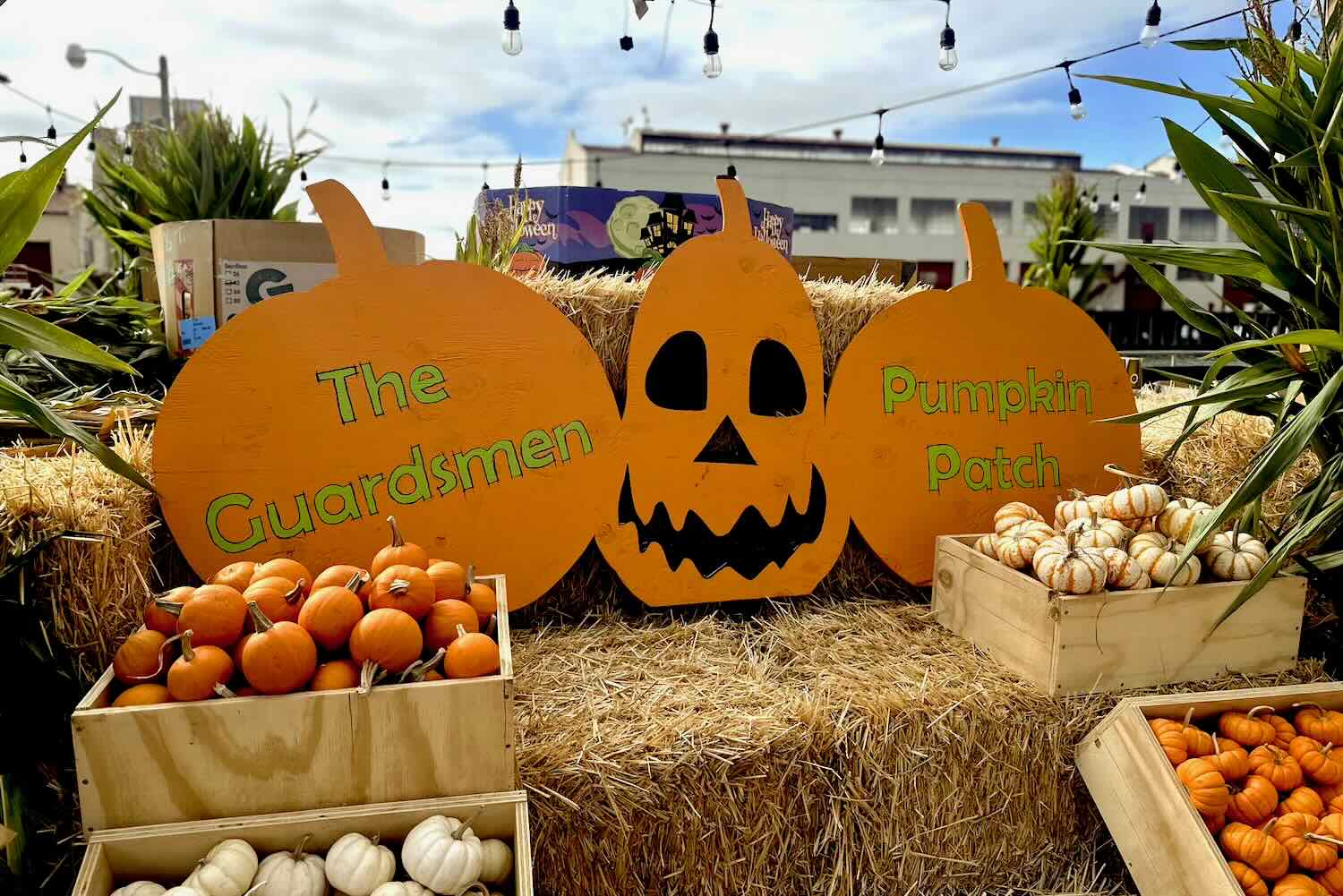 Pumpkin Patch in San Francisco